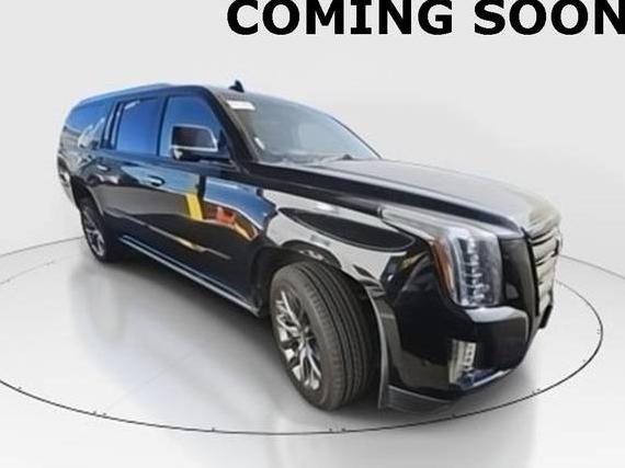 CADILLAC ESCALADE ESV 2020 1GYS4KKJ6LR119583 image